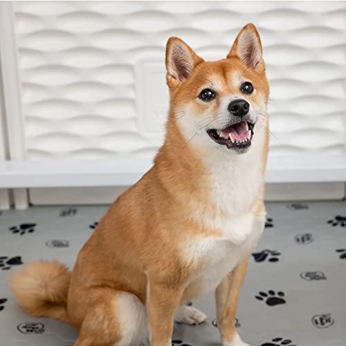Image of EZwhelp EZclassic Dog Whelping Box - Washable Pee Pad, Small 28 inchx28 inchx18 inch