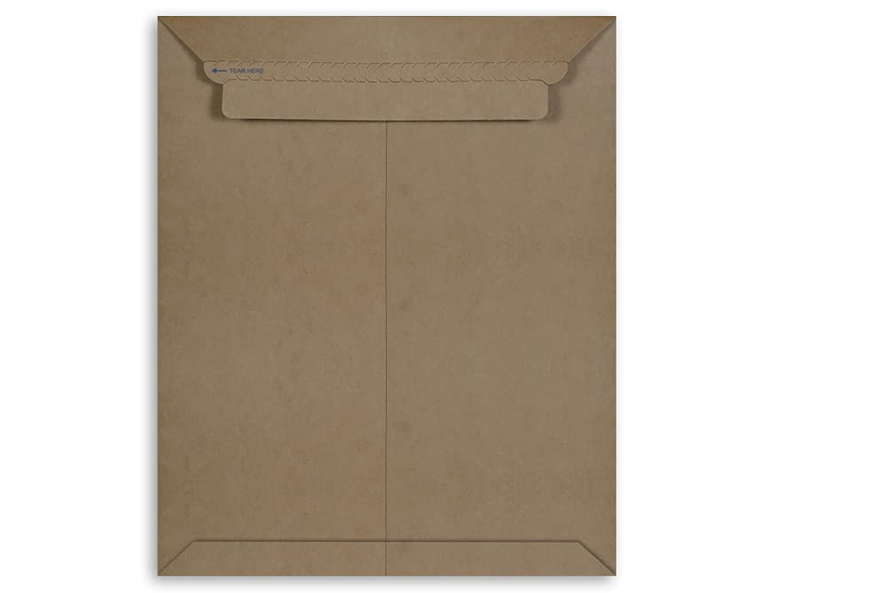 Mehta Envelope Mfg Co. RIGID MAILER Size 14 x 11 Inch, 430 GSM Thick
