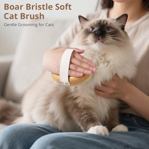 Image of Boar Bristle Cat Brush for Indoor Cats, Cat Hair Brush Gentle Grooming, Reduce Shedding, Soft Hair and Healthy Shine, Bamboo Handheld with Soft Boar Bristles and Band for Short Haired Cats Dogs