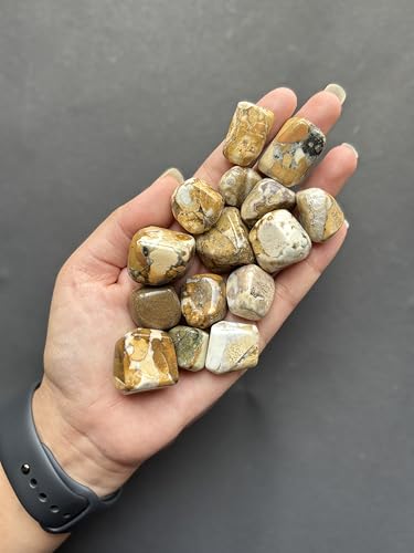 Image of Tumbled Stones, Natural Crystal Healing Stones, Home Office Decor, Aquarium Decorative Pebbles, Vase Fillers (Cobra Jasper, 50)
