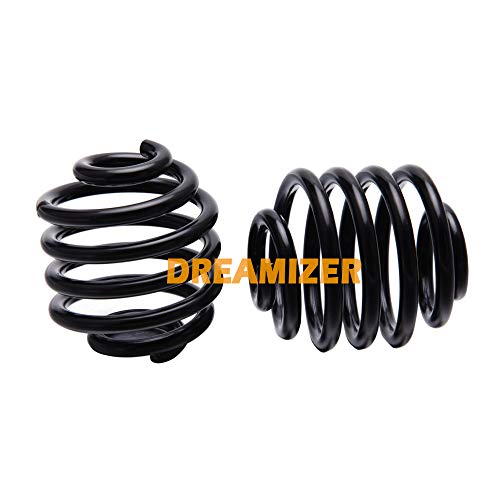 DREAMIZER 1 Paar Motorrad Bobber Sitzfedern, Kundenspezifische Solo Sitzfedern für Sportster Chopper Bobber(Schwarz)