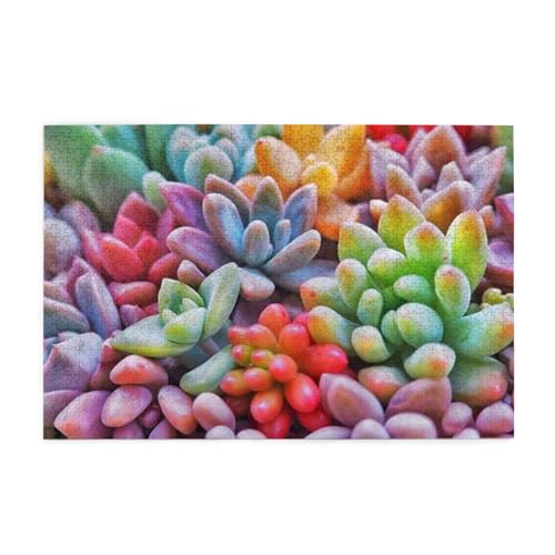 美しい多肉植物 1000ピース ジグソーパズル 大人向け難しい 破片なし カチっとハマる 誕生日 おしゃれ インテリア ギフトハウス (75×50cm)