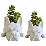 Kirdume Hunde Sukkulenten Topf, Niedlicher Hunde Blumentopf, Lustiger Französischer Bulldoggen Blumentopf, Kunstharz Sukkulenten Pflanzgefäß, Schreibtisch Mini Ornament, Mini Welpen Pflanzgefäß