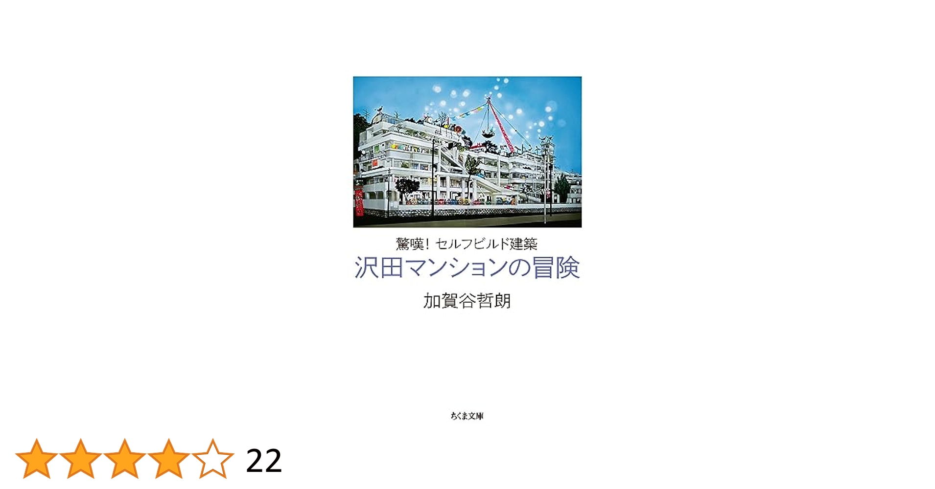 沢田マンション超一級資料 : 世界最強のセルフビルド建築探訪 沢田マンション超一級資料―世界最強のセルフビルド建築探訪