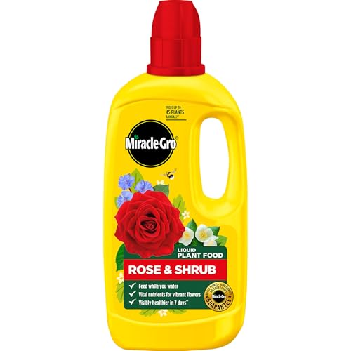 Miracle-Gro ROSE & SHRUB CONC 6X800ML