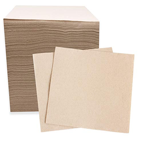 10 Best Recycled Paper Napkins for Eco-Friendly Entertaining 8 Recycled Compostable Biodegradable Napkins (250 Count)