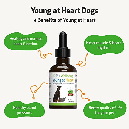 image for Pet Wellbeing Young at Heart for Dogs - Vet-Formulated - Supports Hear