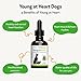 Pet Wellbeing Young at Heart for Dogs - Heart Health, Circulatory & Cardiovascular System, Hawthorn, Motherwort, Schisandra - Veterinarian-Formulated Herbal Supplement 2 fl oz (59 ml)