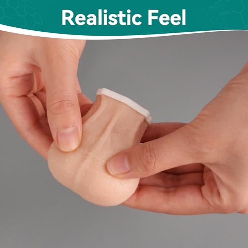 Image of Testicles Model for TSE, Testicular Examination Model Pocket Size, Testicular Cancer Palpation Practice Model