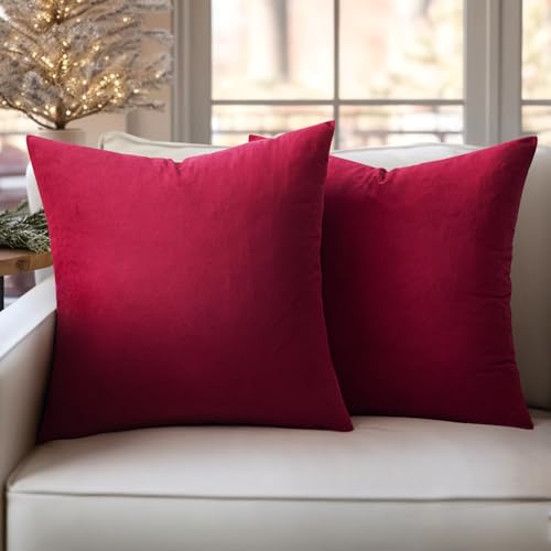 Slozzi Set of 2 Velvet Cushion Covers, Household Decorative Cushion Cover, Soft Sofa Cushion for Sofa Bedroom, Living Room