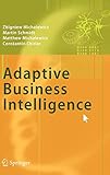Adaptive Business Intelligence