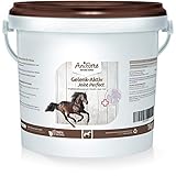 AniForte Gelenk-Aktiv 1kg - Teufelskrallen Pulver für Pferde (1kg)