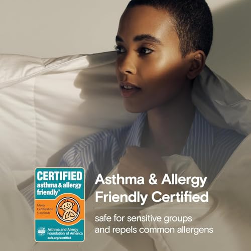 Sijo AiryWeight Tencel Sheet Set, 100% Lyocell Derived from Eucalyptus, Buttery Soft, Architectural Digest 2022 Best Cooling Sheets Winner - 3pc - 2 Pillowcases 1 Fitted (Sky, King)