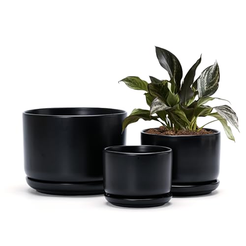 Ton Sin Black Ceramic Pots for Plants 4.4+5.4+6.9 Inch Planters with Drainage Hole and Saucer Indoor Flower Pots for Succulents African Violets Small House Plants