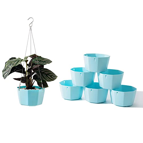 Melphoe 6 Pack 6 Inch Hanging Plant Pot Self Watering Hanging Planters Indoor Hanging Flower Pots Outdoor Hanging Pot Basket, Plant Hanger With 3Hooks, Drainage Holes For Garden Home (Blue) #TOP10