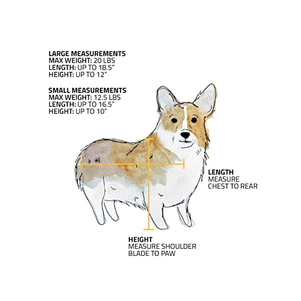 Travel Bag and Car Seat