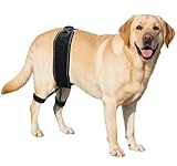 Dovanor Dog Hip Orthotics Brace, Dog Hip Dysplasia Brace, Support for Hip Dysplasia, Arthritis, Luxating Patella, Back Leg limping, Relieve Hip Pain and Orthodontic Assistance - Large