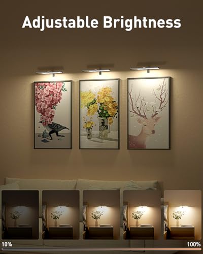 Image of Diomart 12 inch Picture Light for Wall, Wireless RGB Picture Light, Black
