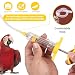 Imagen de GXGM 2 Pcs Para Pajaros Papilleros Alimentador