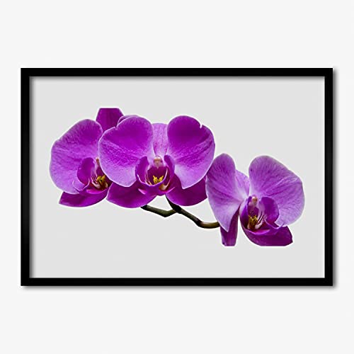Affiche encadrée 70x50 cm Fleurs sur le mur déco en bois MDF