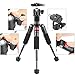 NEEWER Portable Desktop Mini Tripod Aluminum Alloy 20''/ 50cm Desk Tripod with 360 Degree Ball Head, 1/4 inch Quick Shoe Plate for DSLR Camera Video Camcorder, Load up to 11 pounds/5 kilograms