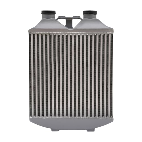【Molteplici funzioni】: l'intercooler non solo migliora la dissipazione del calore e le prestazioni, ma può anche ridurre il consumo di carburante.