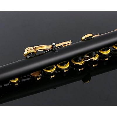 Glory Closed Hole C Flute With Case, Tuning Rod and Cloth and Gloves black/Laquer