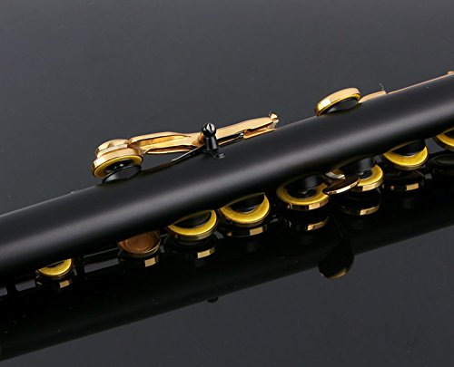 Glory Closed Hole C Flute With Case, Tuning Rod and Cloth and Gloves black/Laquer by GLORY - Image 6