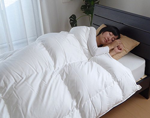 GORE 羽毛ふとん Amazon｜【日本製 GORE-TEX】羽毛ふとん シングル 150×210cm