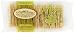 La Panzanella Garlic Mini Croccantini, 6-Ounce Packages (Pack of 6)