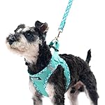 PUPTECK Dog Harness and Leash Set for Small Medium Dogs No Pull Step-in Soft Mesh Puppy Cat Vest Harnesses Reflective at Night, Green S