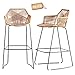 FHKBB Set di 2 sgabelli da Bar nordici Schienale Stile Semplice caffè Ristorante Sgabelli Alti Sedia con Schienale Alto in Ferro Rattan Vimini con poggiapiedi, Gambe in Metallo Nero