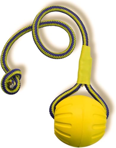 Image of Petarchi UltraGrip Rope Ball Dog Toy | Interactive Pet Toy for Training Tug Chew & Fetch | Improves Dental Health | Non-Toxic & Floatable | Indoor & Outdoor Play (Large, 9cm Diameter)