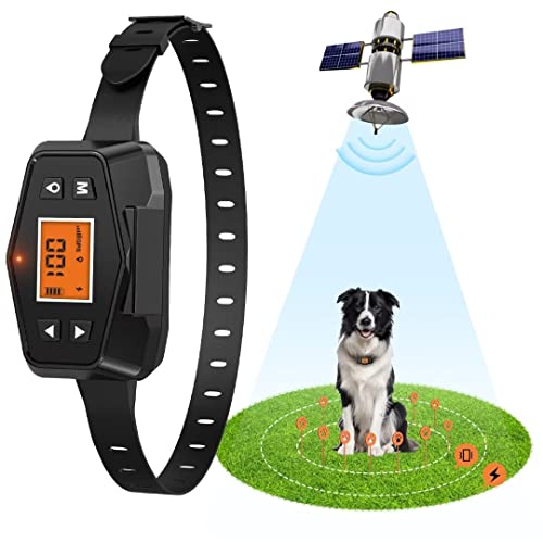 15 Best Invisible Dog Fences (January2023)