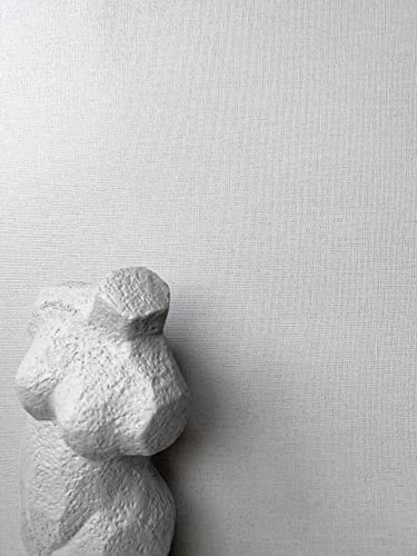 NEWROOM Papier peint Gris Couleur Unie Intissé - Couleurs Unies Gris Clair Structure Textile
