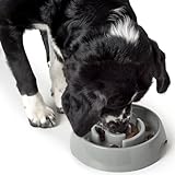 HUNTER ATLANTA Anti-Schlingnapf, Futternapf für Hunde und Katzen, zur kontrollierten und verlangsamten Futteraufnahme, 900 ml, grau