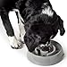 HUNTER ATLANTA Anti-Schlingnapf, Futternapf für Hunde und Katzen, zur kontrollierten und verlangsamten Futteraufnahme, 900 ml, grau