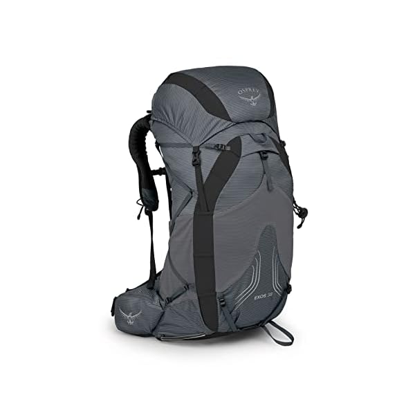 Osprey-Exos-38-Mens-Ultralight-Backpacking-Backpack Osprey Exos 38 Men's Ultralight Backpacking Backpack