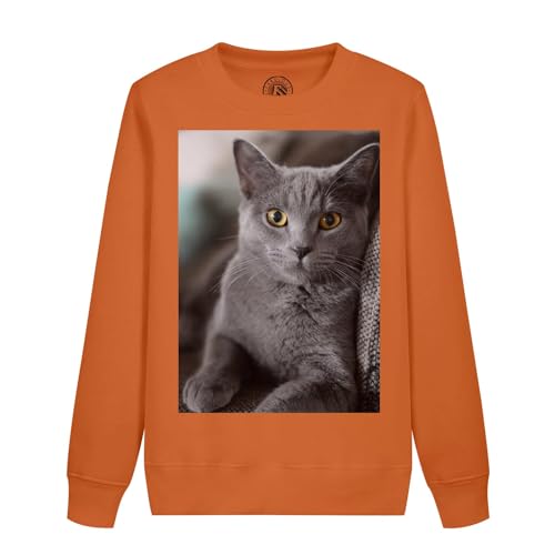 Sweatshirt mignon chat gris enfant pour exprimer la passion des animaux