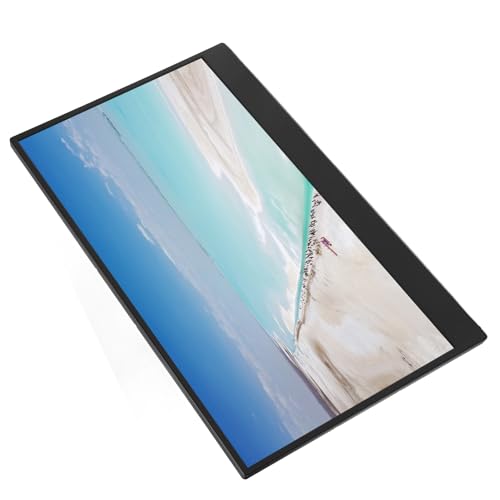 BusoTh Pantalla Portátil de 14 Pulgadas, Extensor de Pantalla para Portátil de 14 Pulgadas Plug and Play Relación de Aspecto 16:9, hasta 15,6 (Enchufe de la UE Pantalla Triple)