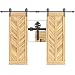 EaseLife 10 FT Double Door Heavy Duty Big Wheel Sliding Barn Door Hardware Track Kit,Ultra Hard Sturdy,Slide Smoothly Quietly,Easy Install,Fit Double 30" Wide Door (10FT Track Double Door Kit)