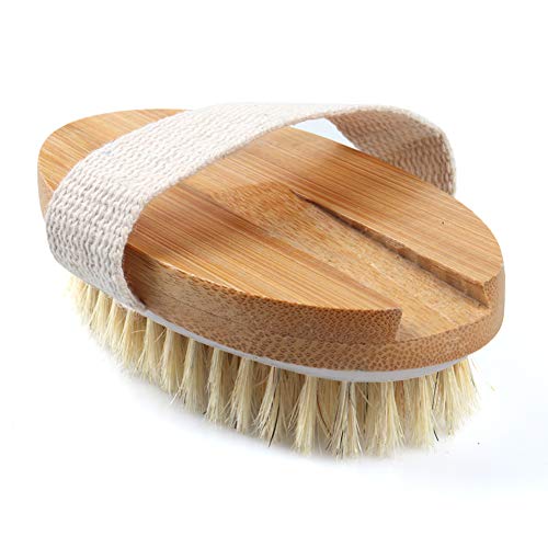 Dry Brushing Body Brush - Stiff Natural Boar Bristle Face/Back/Foot Cactus Skin Brush Scrubber for Exfoliation, Cellulite, Circulation, Drain Lymph Massage in Bath Shower - Long Detachable Handle - Thumbnail 6