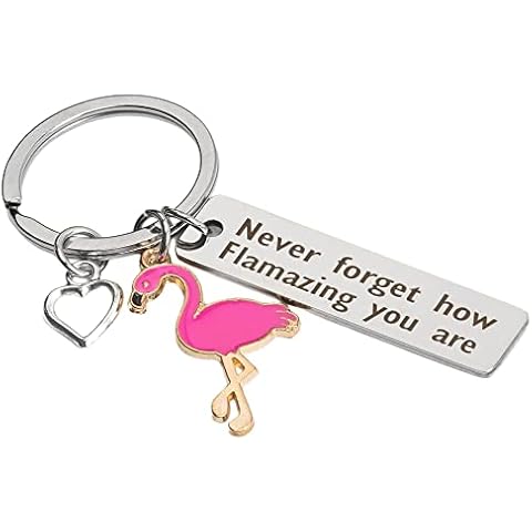 DOMINNE Inspirational Gifts Flamingo Keyring Encouragement Keyring Never Forget How Flamazing You Are Flamingo Birthday Gifts for Women Girls Cover