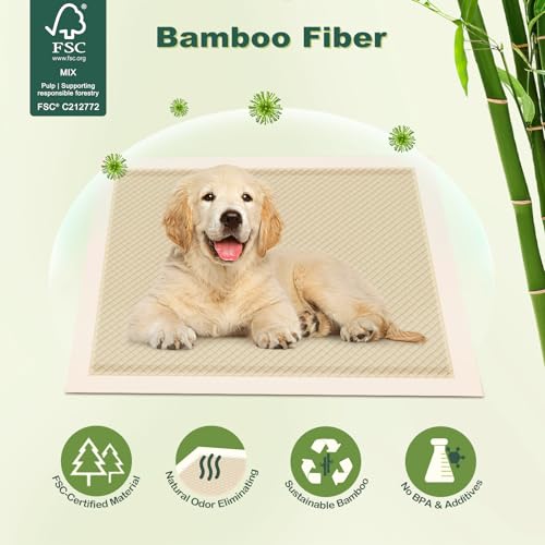 Image of MIZOK Puppy Pads Small 22x22 Pee Pads for Dogs Bamboo Odor Eliminating & 6-Layer Absorbent Leak-Proof Dog Pee Pads Potty Training with Adhesive Tabs, Disposable (50 Counts)