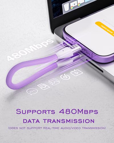Image of Short USB C Cable PD 240W(2 Pack), 6 Inch Keychain USB C Cable /Phone Lanyard USB-C to Type-C Cables /Fast Charging Cable for Phone17 /16 /15 Samsung Galaxy Tablet Laptop External SSD(Purple)