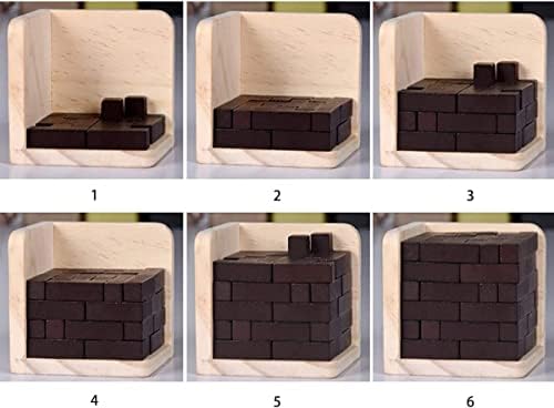 Sharp Brain Zone 3D Wooden Brain Teaser Puzzle by Sharp Brain Zone. Genius Skills Builder T-Shape Pieces with Tetris Fit. Educational Toy for Kids and Adults. Explore Creativity and Problem Solving. Painted Finish