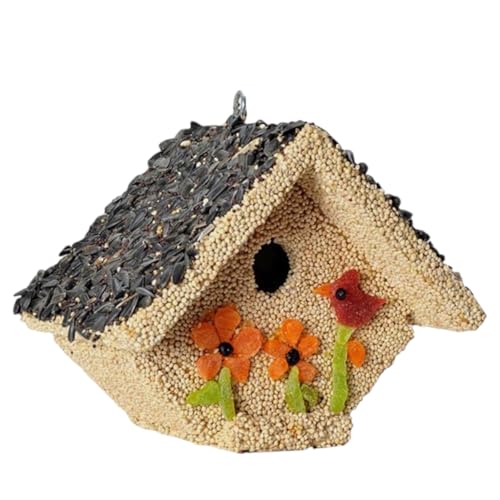 Mr. Bird Spring Fruit Casita Bird Seed Birdhouse