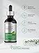 Horbäach Green Tea Extract Liquid Drops | 2 Fl Oz | Herbal Tincture | Alcohol Free | Vegetarian | Super Concentrated Supplement | Non-GMO, Gluten Free
