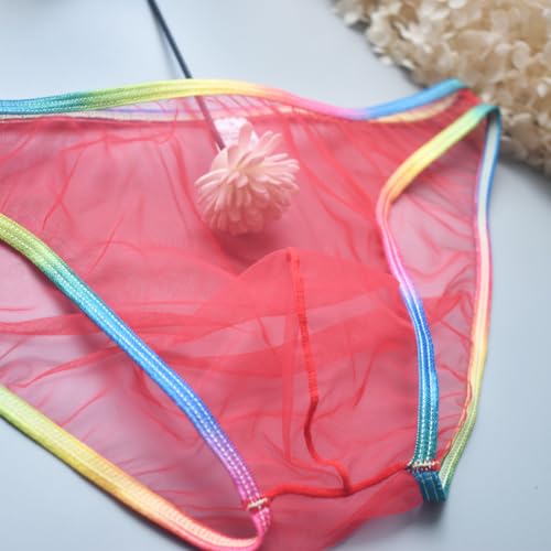 Evankin Sexy Men's Brief Underwear Mesh See Through Underpants Low Rise U-shaped Pouch Fun Underwear Colorful2