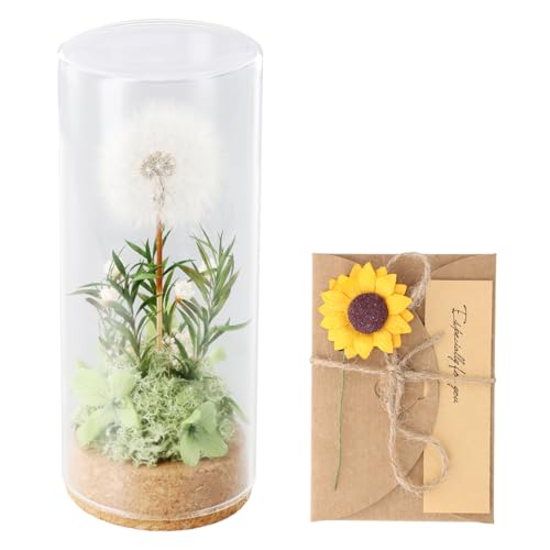 QINGZY Flor de Diente de León Real en Vidrio Regalo Decorativo para Mujeres, Pluma de Deseos Flores Preservadas Seca en Cristal Amuleto de Suerte, Ideas de Regalo